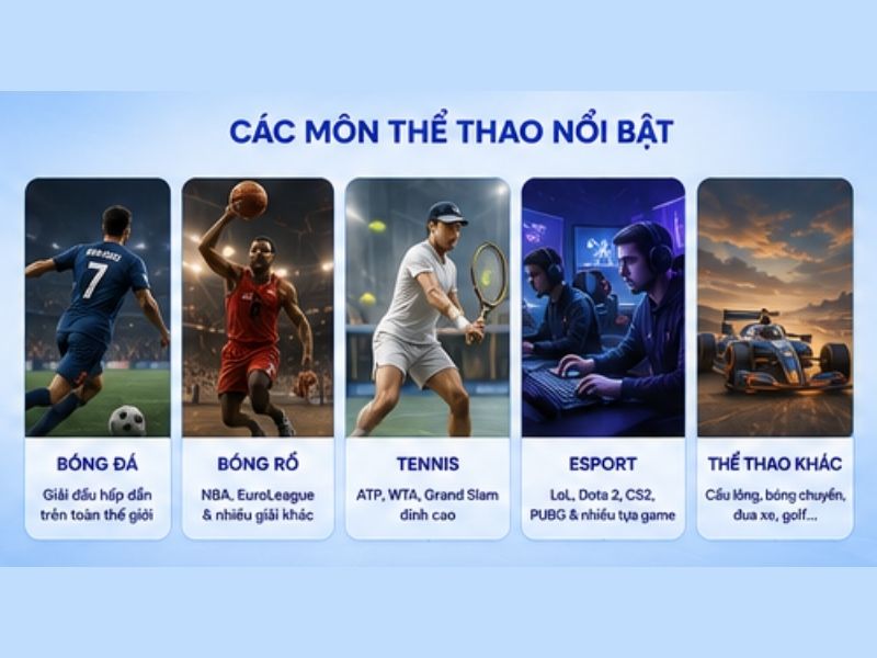 Các bộ môn thể thao nổi bật tại LLWIN