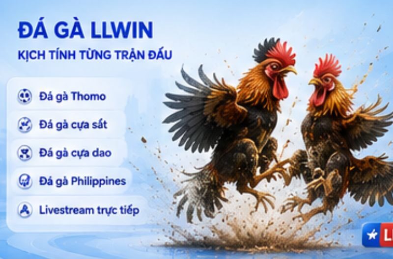 Đá gà LLWIN – Kịch tính từng trận đấu