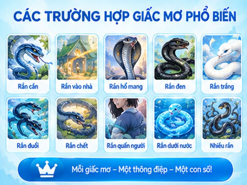 Bảng Tổng Hợp Mơ Thấy Rắn Đánh Con Gì