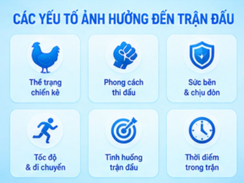 Các yếu tố cần quan sát khi theo dõi đá gà đòn LLWIN