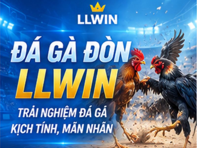 Đá Gà Đòn LLWIN