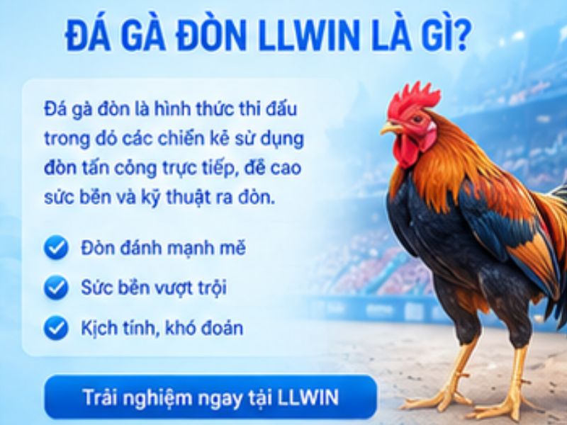 Đá gà đòn LLWIN là gì?