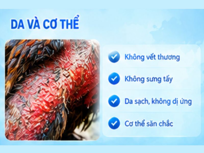 Kiểm tra da và cơ thể