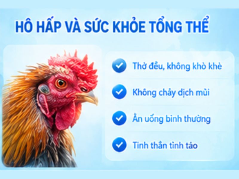 Kiểm tra hô hấp