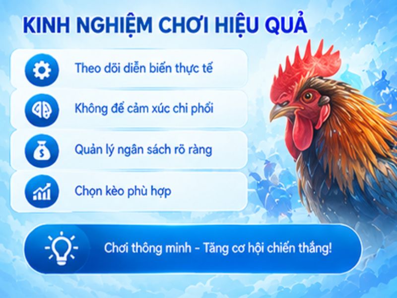 Kinh Nghiệm Trải Nghiệm Đá Gà Cựa Sắt LLWIN