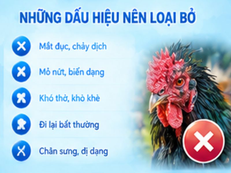 Những dấu hiệu nên loại khỏi danh sách lựa chọn