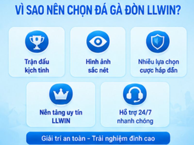 Vì sao đá gà đòn LLWIN thu hút người chơi